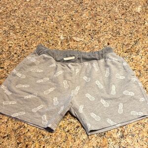 Chubbies Gray Pineapple Print Athletic Shorts